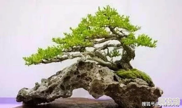 可交换系列小说第一部《错位人生》已完结第二部《命运交织》即将开启预售 可交换系列小说第一部《错位人生》已完结第二部《命运交织》即将开启预售