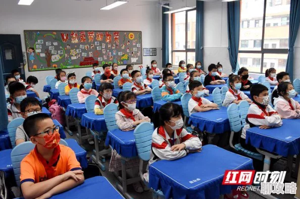 少年勇者团竞技场系统玩法深度解析，网友热议实战策略与评价