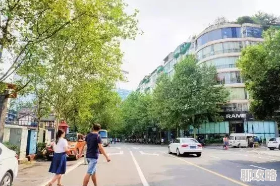 网友热议:天堂之心竞技场系统深度玩法技巧与评价详解 网友热议:天堂之心竞技场系统深度玩法技巧与评价详解