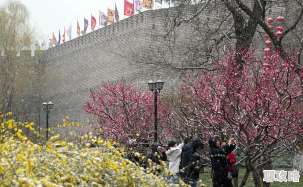 街头篮球手游:高效三分球防守策略全解析,网友亲测好评攻略 街头篮球手游:高效三分球防守策略全解析,网友亲测好评攻略