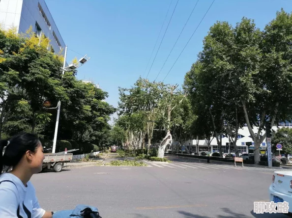 18款禁用软件app银杏视频2025版全新上线高清资源免费畅享