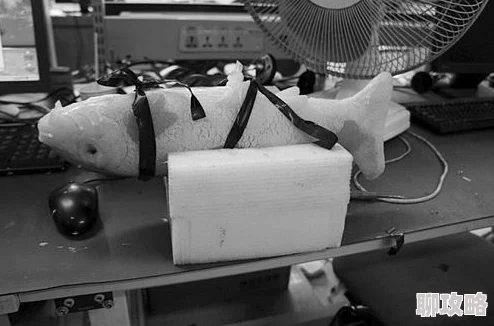 鳝鱼自慰 新型仿生机器人技术助力水产养殖效率提升