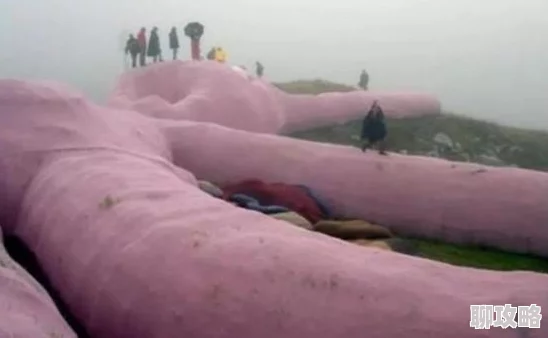 2025年热门指南：我的世界小兔子高效喂养与科学繁殖方法全解析