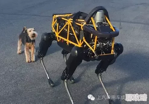 2025年未来科技:疯狂动物园河马机器人,骑上它,你就能轻松探索深海奥秘啦! 2025年未来科技:疯狂动物园河马机器人,骑上它,你就能轻松探索深海奥秘啦!