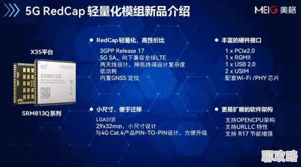 2025年探索《我的世界》中枯死灌木的多元功能与创新作用 2025年探索《我的世界》中枯死灌木的多元功能与创新作用