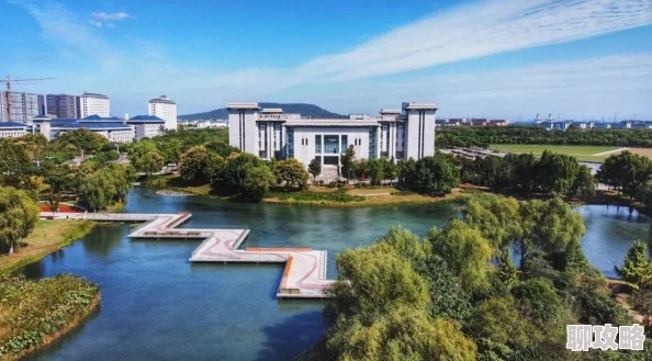 2025年热门天下手游活动开启等级要求与全新玩法介绍一览 2025年热门天下手游活动开启等级要求与全新玩法介绍一览