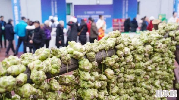 2025年游戏圈热点:第五人格氛围测试激活码炒至三百元,公测成玩家新期待 2025年游戏圈热点:第五人格氛围测试激活码炒至三百元,公测成玩家新期待