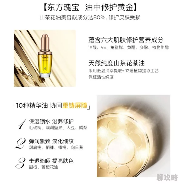 2025年完美世界手游装备重铸全攻略:最新重铸方法与热门技巧介绍 2025年完美世界手游装备重铸全攻略:最新重铸方法与热门技巧介绍