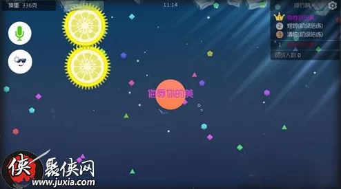 2025年热门游戏技巧：球球大作战如何设置双色名字，实现黑白炫酷效果