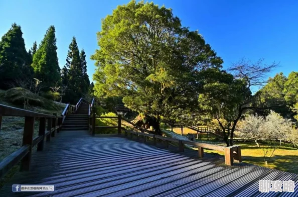 2025年奇迹暖暖图书馆云端奇缘剧情深度分享与未来展望