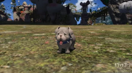 《最终幻想14 水晶世界》丑小鸭宠物获取方法详解 ｜ 轻松获得可爱新伙伴