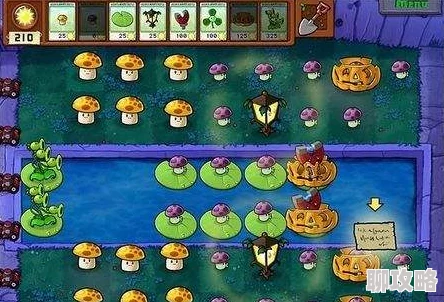 植物大战僵尸抽卡版冒险模式5-8通关攻略 | 详细步骤与技巧解析 植物大战僵尸抽卡版冒险模式5-8通关攻略 | 详细步骤与技巧解析