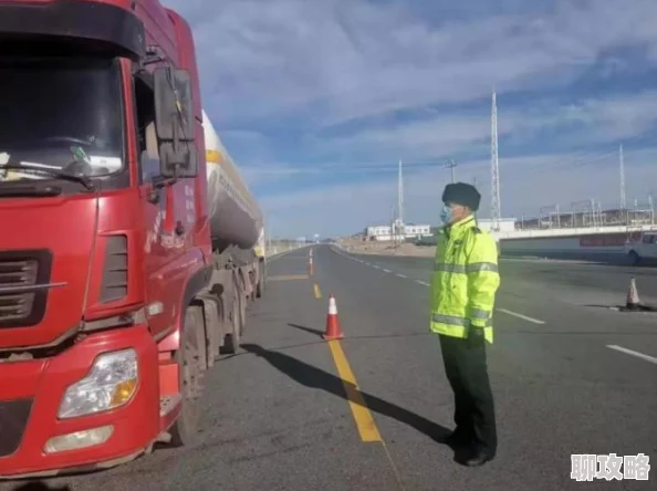 荒原曙光资源获取全攻略：土壤、水源、木材收集技巧详解