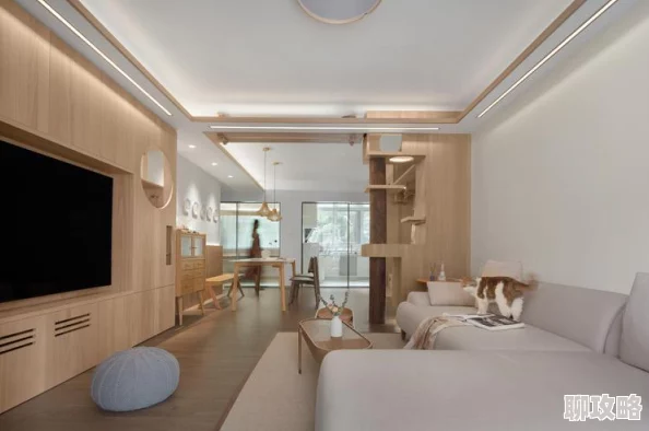 猫之城前期体力分配攻略 新手必看体力使用指南 猫之城前期体力分配攻略 新手必看体力使用指南