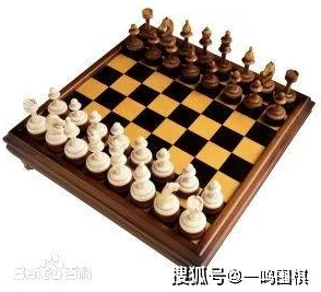 国际象棋与围棋的全球流行度对比：哪种棋类更受欢迎？