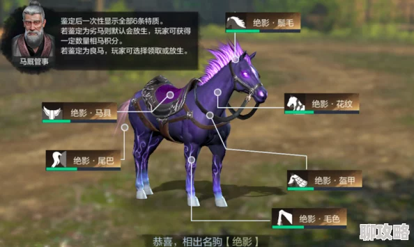 真三国无双起源全马匹满级属性详解，顶级坐骑全面解析