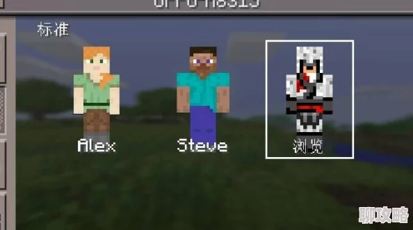 我的世界联机侠换皮肤攻略:详细教程与方法 我的世界联机侠换皮肤攻略:详细教程与方法