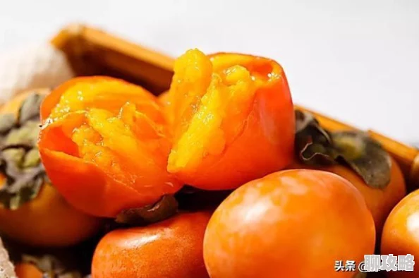 甜心选择2:可爱公主捏人指南与人物卡全览 甜心选择2:可爱公主捏人指南与人物卡全览