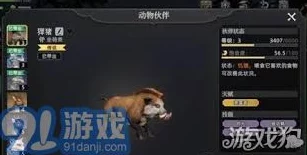 荒原曙光宠物选择指南：最佳捕获推荐