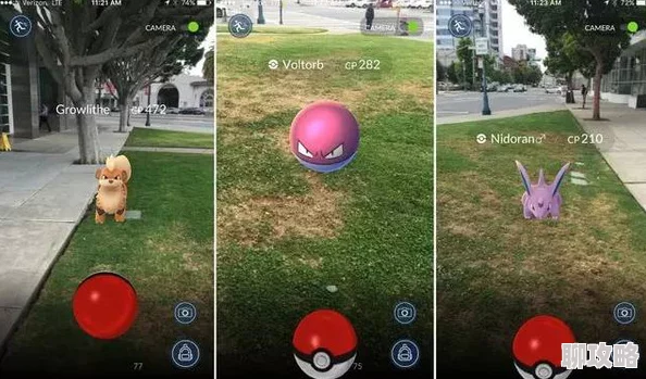 2025年宠物小精灵GO全面解析树果获取途径与最新玩法明细 2025年宠物小精灵GO全面解析树果获取途径与最新玩法明细